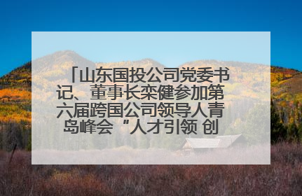 山东国投公司党委书记、董事长栾健参加第六届跨国公司领导人青岛峰会“人才引领 创新驱动”人力资源高质量发展对话会