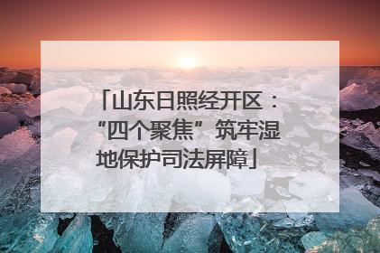 山东日照经开区：“四个聚焦”筑牢湿地保护司法屏障