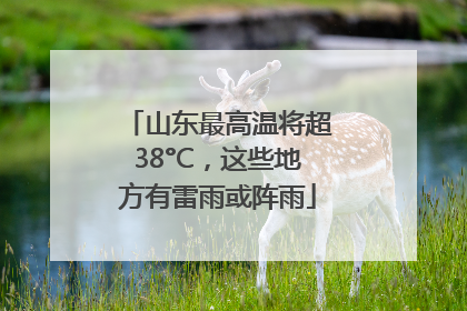 山东最高温将超38°C，这些地方有雷雨或阵雨
