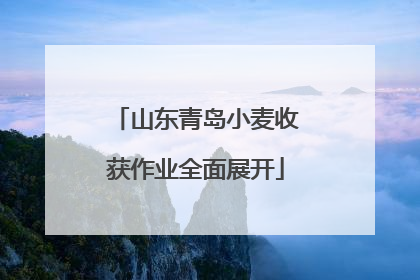 山东青岛小麦收获作业全面展开