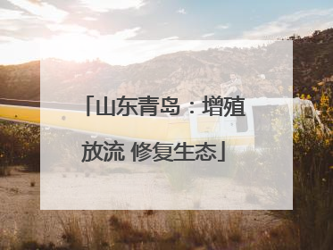 山东青岛：增殖放流 修复生态