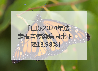 山东2024年法定报告传染病同比下降13.98%