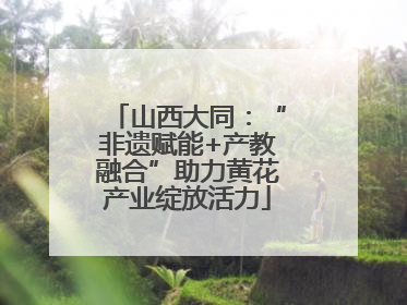 山西大同：“非遗赋能+产教融合”助力黄花产业绽放活力