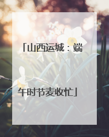山西运城：端午时节麦收忙