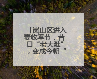 岚山区进入麦收季节，昔日“老大难”，变成今朝“抢手货”！