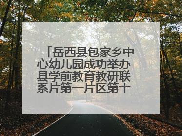 岳西县包家乡中心幼儿园成功举办县学前教育教研联系片第一片区第十三次专题研讨会