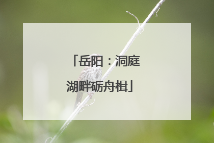 岳阳：洞庭湖畔砺舟楫