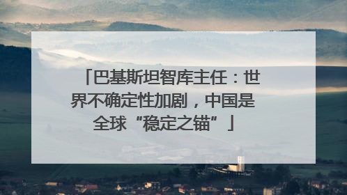 巴基斯坦智库主任：世界不确定性加剧，中国是全球“稳定之锚”