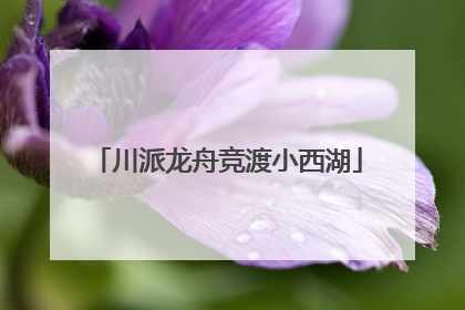 川派龙舟竞渡小西湖