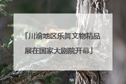 川渝地区乐舞文物精品展在国家大剧院开幕