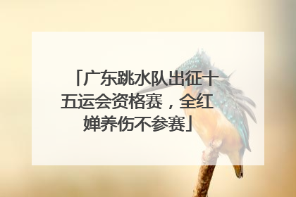 广东跳水队出征十五运会资格赛，全红婵养伤不参赛