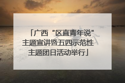 广西“区直青年说”主题宣讲暨五四示范性主题团日活动举行