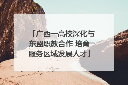 广西一高校深化与东盟职教合作 培育服务区域发展人才