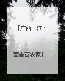 广西三江：菌香富农家