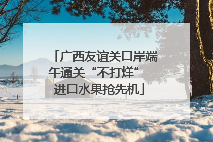 广西友谊关口岸端午通关“不打烊” 进口水果抢先机