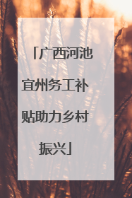 广西河池宜州务工补贴助力乡村振兴