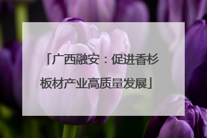 广西融安：促进香杉板材产业高质量发展