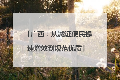 广西：从减证便民提速增效到规范优质