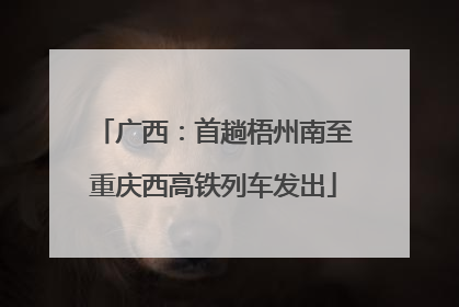 广西：首趟梧州南至重庆西高铁列车发出