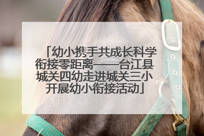 幼小携手共成长科学衔接零距离——台江县城关四幼走进城关三小开展幼小衔接活动
