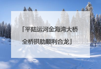 平陆运河金海湾大桥全桥拱肋顺利合龙