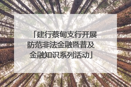 建行蔡甸支行开展防范非法金融暨普及金融知识系列活动