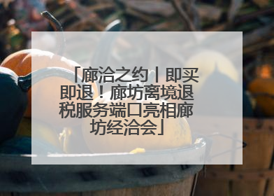 廊洽之约丨即买即退！廊坊离境退税服务端口亮相廊坊经洽会