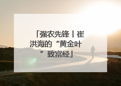 强农先锋丨崔洪海的“黄金叶”致富经