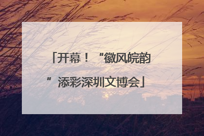 开幕！“徽风皖韵”添彩深圳文博会