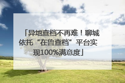 异地查档不再难！聊城依托“在鲁查档”平台实现100%满意度