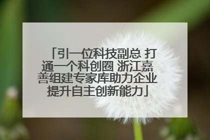 引一位科技副总 打通一个科创圈 浙江嘉善组建专家库助力企业提升自主创新能力