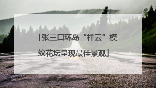 张三口环岛“祥云”模纹花坛呈现最佳景观