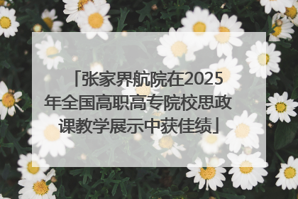 张家界航院在2025年全国高职高专院校思政课教学展示中获佳绩