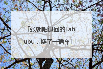 张朝阳退回的Labubu，换了一辆车