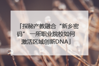 探秘产教融合“新乡密码” 一所职业院校如何激活区域创新DNA