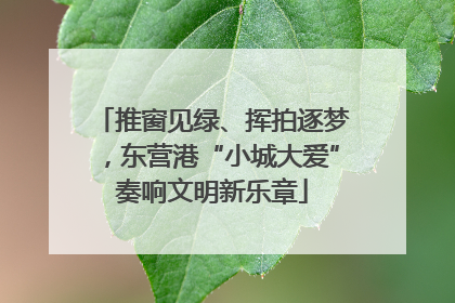 推窗见绿、挥拍逐梦，东营港“小城大爱”奏响文明新乐章