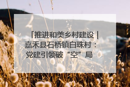 推进和美乡村建设｜嘉禾县石桥镇白珠村：党建引领破“空”局 乡贤聚力绘就新图景