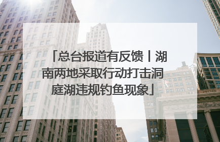 总台报道有反馈丨湖南两地采取行动打击洞庭湖违规钓鱼现象