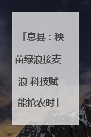 息县：秧苗绿浪接麦浪 科技赋能抢农时