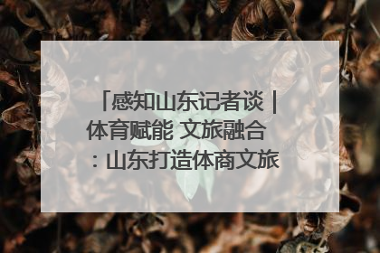感知山东记者谈｜体育赋能 文旅融合：山东打造体商文旅融合发展新格局