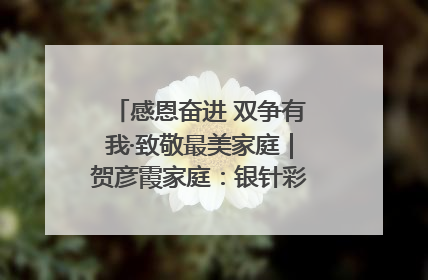感恩奋进 双争有我·致敬最美家庭｜贺彦霞家庭：银针彩线绣出好日子