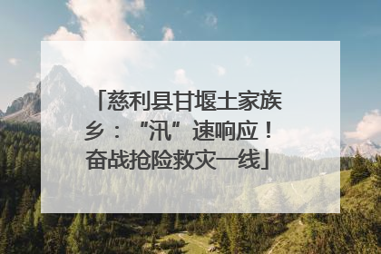 慈利县甘堰土家族乡：“汛”速响应！奋战抢险救灾一线
