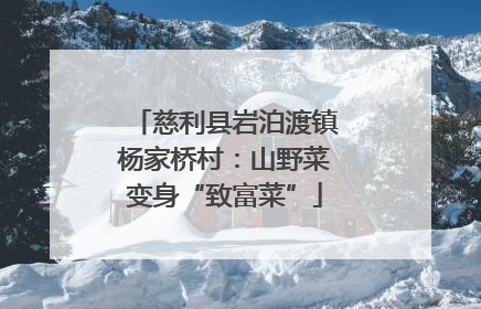 慈利县岩泊渡镇杨家桥村：山野菜变身“致富菜”