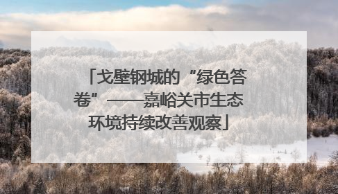 戈壁钢城的“绿色答卷”——嘉峪关市生态环境持续改善观察