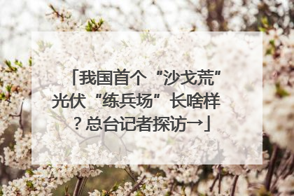 我国首个“沙戈荒”光伏“练兵场”长啥样？总台记者探访→
