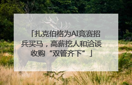 扎克伯格为AI竞赛招兵买马，高薪挖人和洽谈收购“双管齐下”