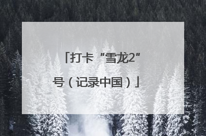 打卡“雪龙2”号（记录中国）