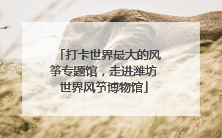 打卡世界最大的风筝专题馆，走进潍坊世界风筝博物馆
