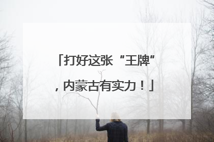 打好这张“王牌”，内蒙古有实力！