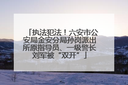 执法犯法！六安市公安局金安分局孙岗派出所原指导员、一级警长刘军被“双开”